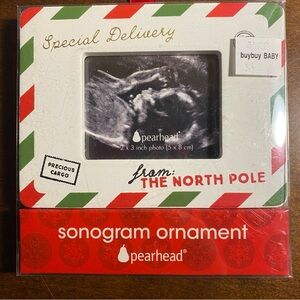 Pearhead Special Delivery Sonogram Ornament Special Delivery from the North Pole